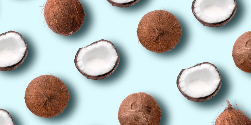 coconuts on a light blue background