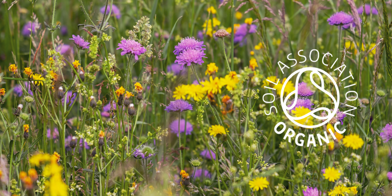 Organic meadow with soil association logo