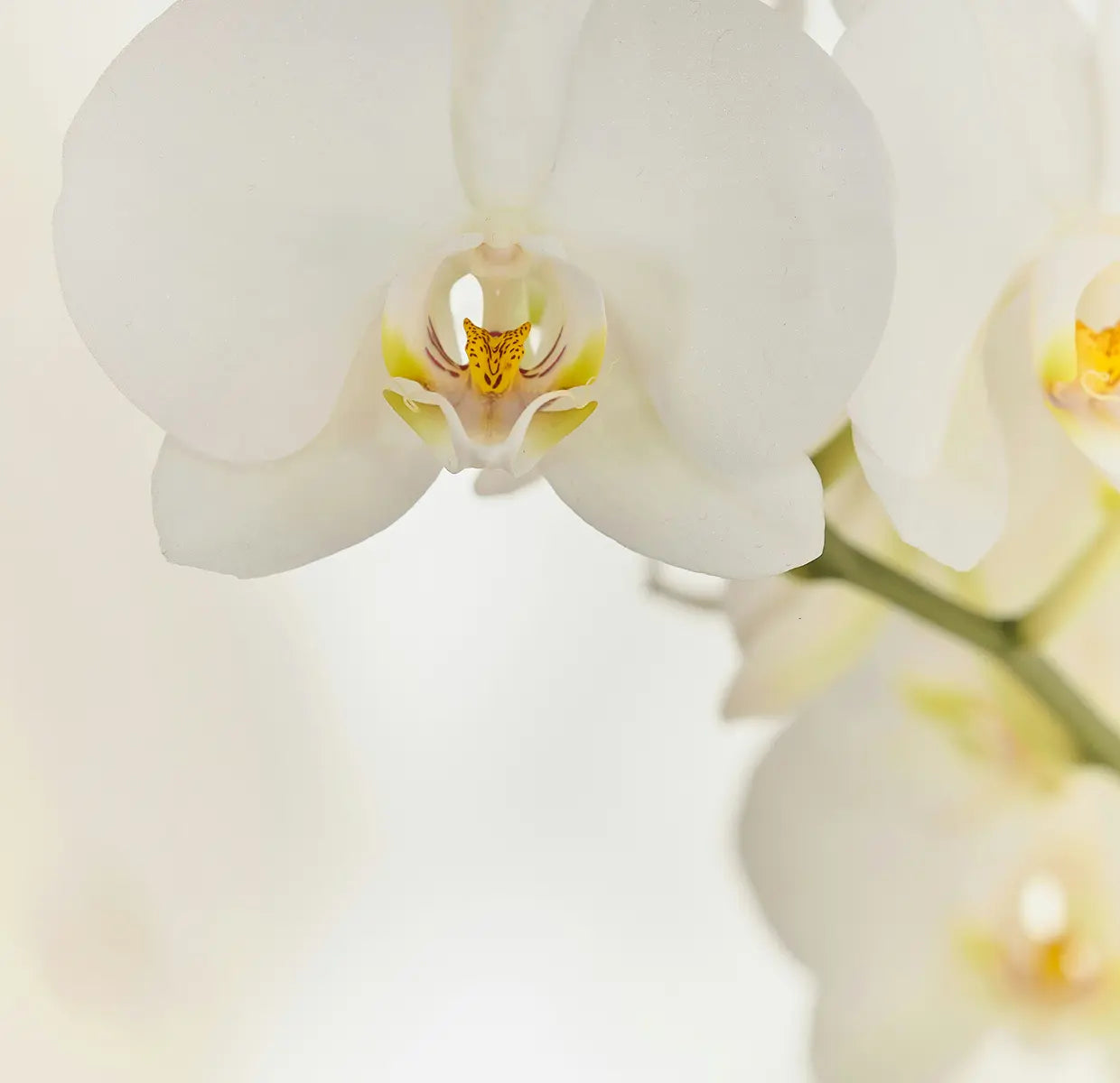 The truth about harmful ingredients in personal care products