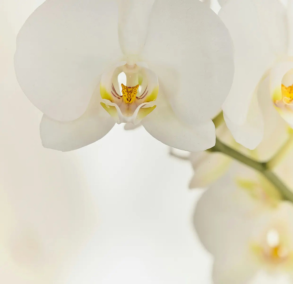 The truth about harmful ingredients in personal care products