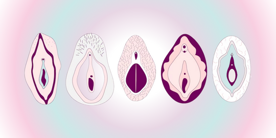 Cartoon vulvas on vibrant background