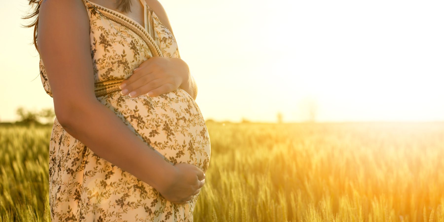 pregnant mother in a field at sunset 